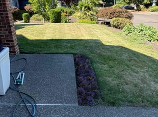 Sonja H.'s grass cutting service result