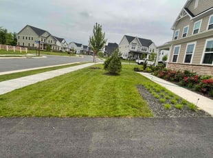 Tammie D.'s lawn care service result