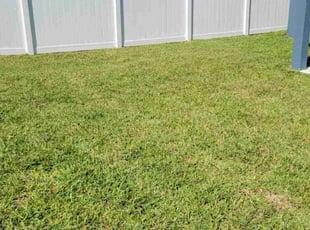 Eileen M.'s lawn maintenance service result