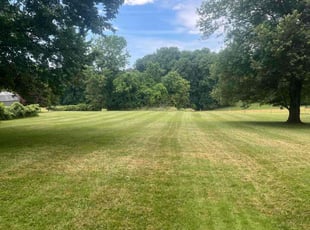 James H.'s turf maintenance service result