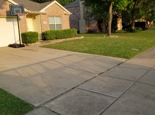 Chris D.'s lawn maintenance service result