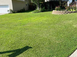 Jason D.'s lawn care services service result