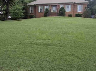 Zina I.'s lawn care services service result