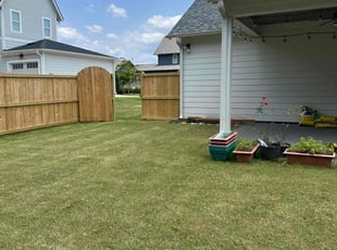 Brian M.'s lawn care service result