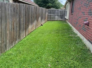 Anitria T.'s lawn service service result