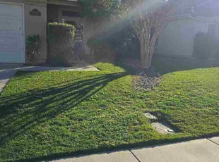 Azmira L.'s lawn maintenance service result