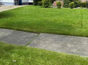 Mark D.'s grass maintenance service result