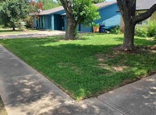 Tyrone W.'s yard work service result