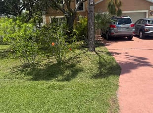 Barlan E.'s Long Grass Cleanup service result