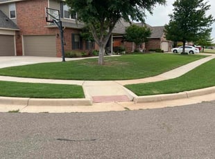 Alwyn D.'s lawn maintenance service result
