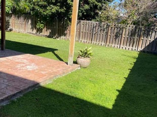 Elizabeth A.'s grass maintenance service result