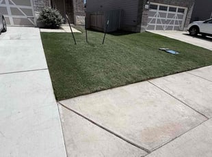 Conn B.'s grass maintenance service result