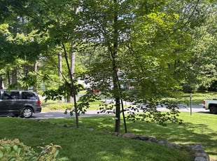 Regina T.'s turf maintenance service result