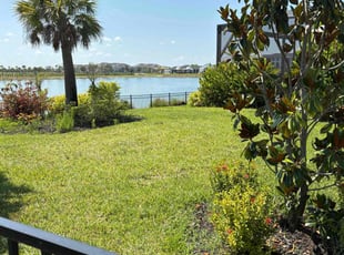 Brian F.'s turf care service result