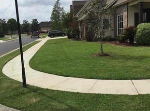 Barbara K.'s turf care service result
