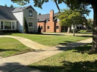 Michael A.'s turf maintenance service result