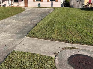 Sarah R.'s turf care service result