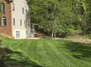 Jeanetta S.'s gardening service service result