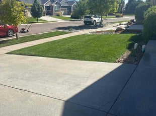 Karin T.'s lawn care service result