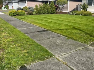Kirstin S.'s gardening service service result