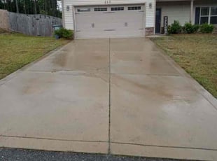 Aziza C.'s turf care service result