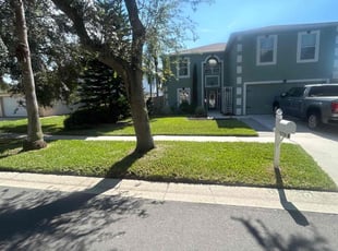 Nicole M.'s turf maintenance service result