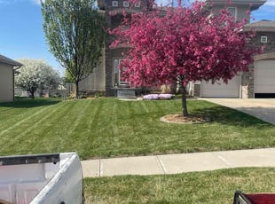 Megan B.'s lawn maintenance service result