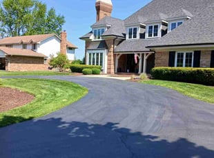 Sandy P.'s turf care service result