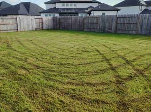 Alex M.'s lawn care services service result