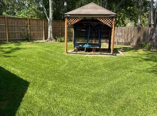 Mary W.'s lawn maintenance service result