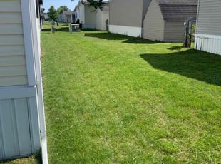 Kenneth F.'s grass cutting service result