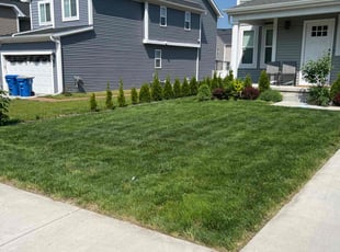 Bob B.'s turf care service result