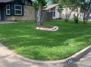 Emily S.'s lawn maintenance service result