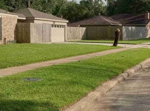 Caroline G.'s lawn maintenance service result