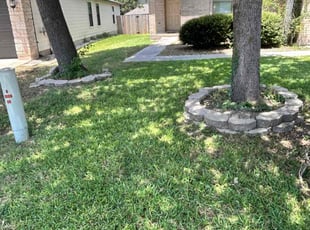 Michael R.'s Cleanups service result