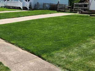 Kashif R.'s lawn maintenance service result