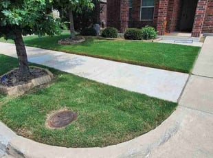 Dena W.'s landscaping services service result