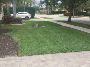 Fred M.'s lawn care services service result