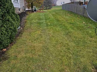 Erin C.'s Bush Trimming service result