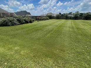 Zakk T.'s lawn care service result