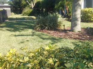 Nate S.'s turf care service result