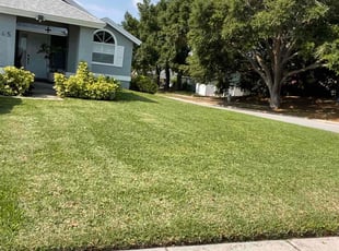 William H.'s yard care service result