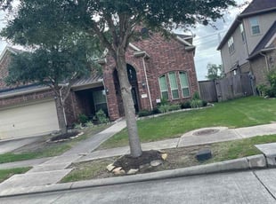 Abdul I.'s turf care service result
