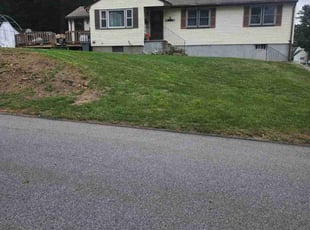 Brenda W.'s lawn maintenance service result