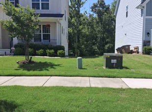 Frances L.'s turf care service result