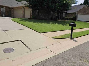 Allie B.'s grass cutting service result