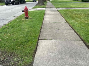 Kenneth S.'s turf care service result