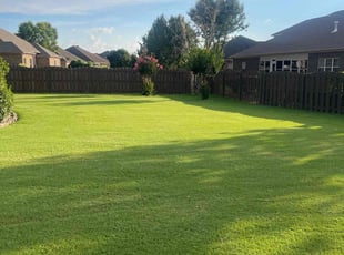 John M.'s lawn maintenance service result