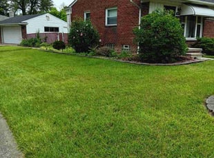 Thomas B.'s turf maintenance service result