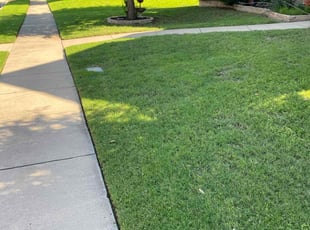 Keegan B.'s lawn service service result